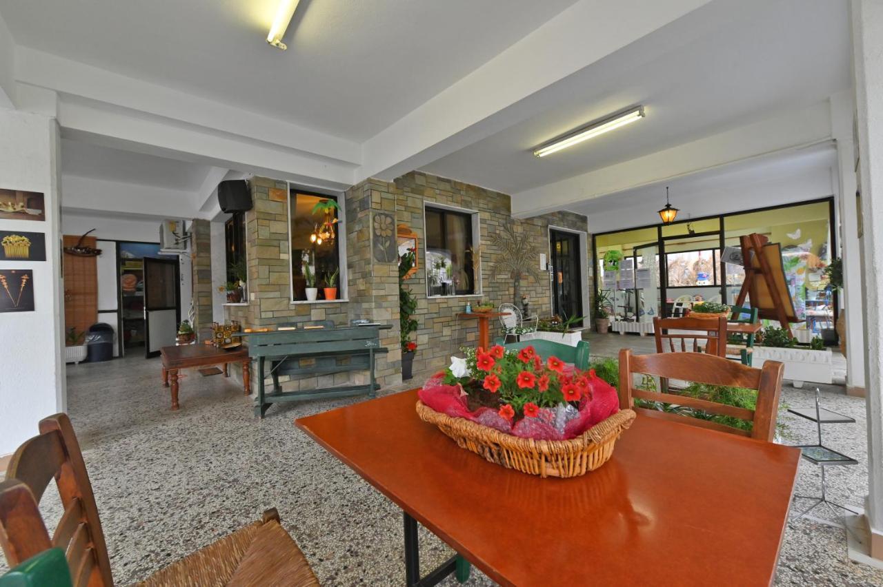 Dionisos Palms Apartments パラリア・ディオニショウ エクステリア 写真