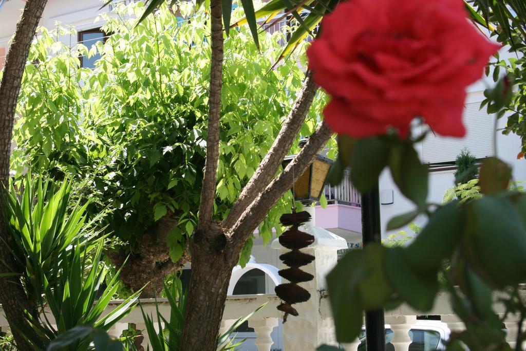 Dionisos Palms Apartments パラリア・ディオニショウ 部屋 写真
