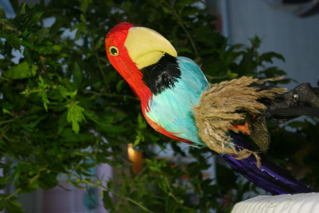 Dionisos Palms Apartments パラリア・ディオニショウ エクステリア 写真