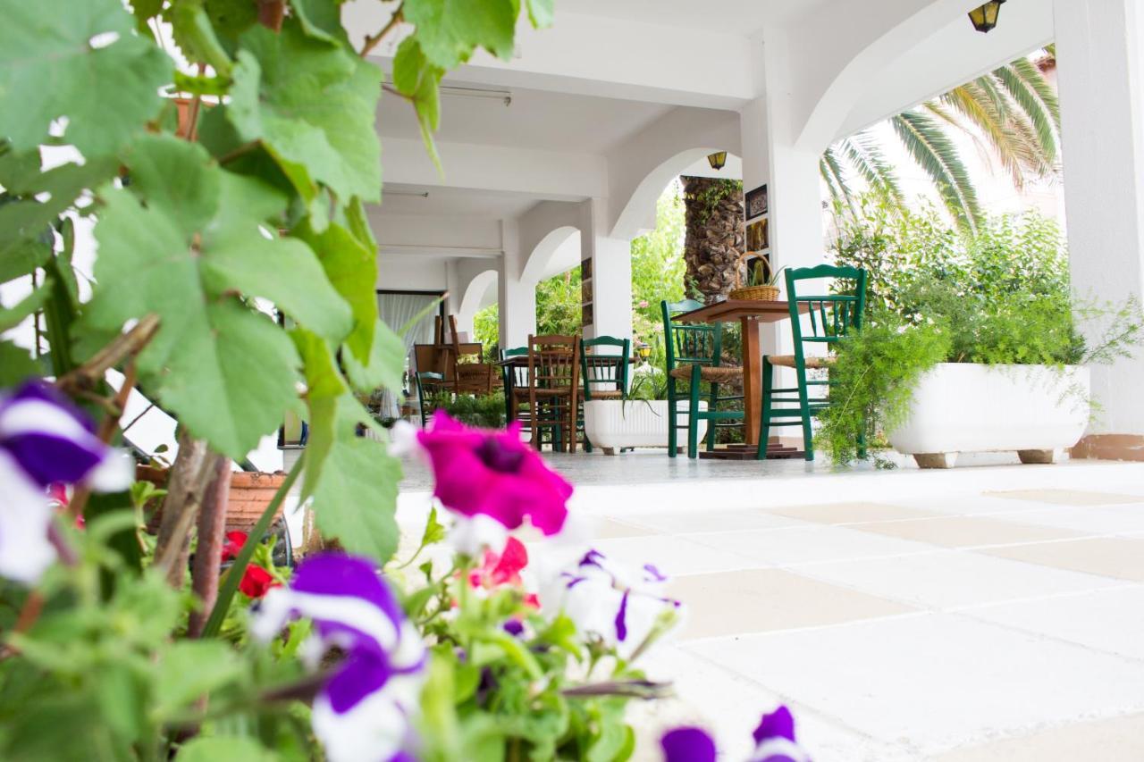 Dionisos Palms Apartments パラリア・ディオニショウ エクステリア 写真